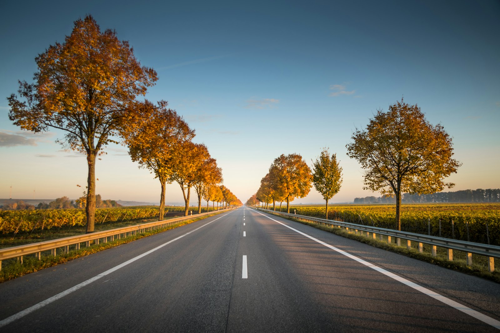 Planning a Road Trip With Hotel Stops Along the Way